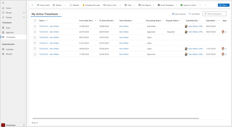 PF PPM Timesheet Viewer.png